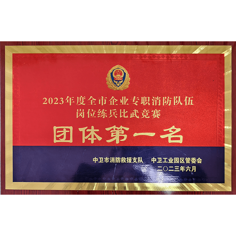 全市企業專職消防隊伍崗位練兵比武競賽團體(tǐ)第一名(míng)