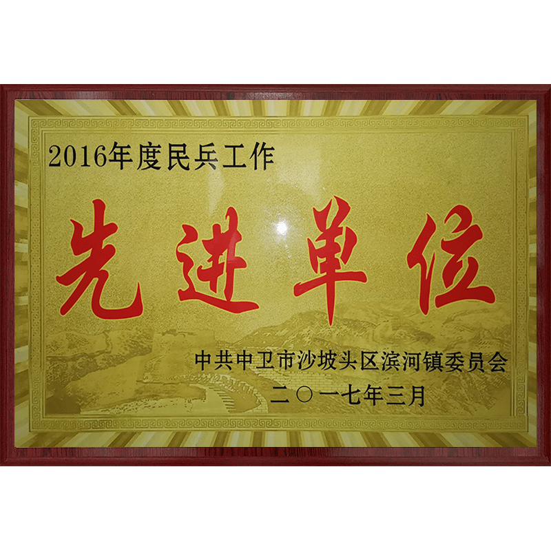 民(mín)兵工(gōng)作(zuò)先進單位